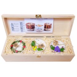 1646 Set mit 3 Duftkerzen beauty scents