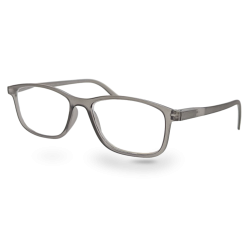 1660 2.5 Lesebrille