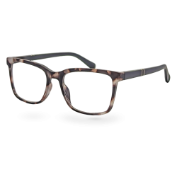 1667 2.5 Lesebrille