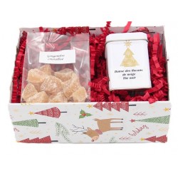 7645A Geschenkbox mit Ingwer und Tee