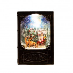 2138 Buch mit Schnee