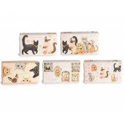 2381 Savon végétal parfumé sans colorants