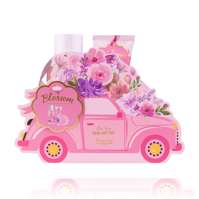 2412 Set de soin cosmétique