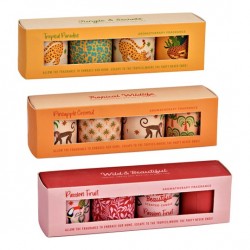 2430 Set avec 4 bougies parfumées