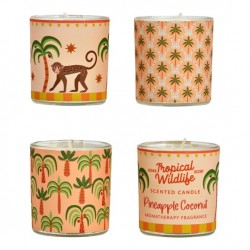 2430 Set avec 4 bougies parfumées