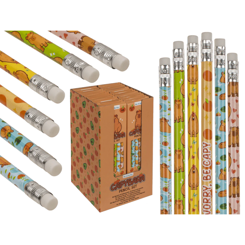 2460 Capybara set crayons avec gommes
