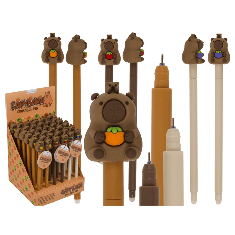 2463 Radierbarer Kugelschreiber farbig