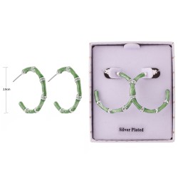2637 Boucles d'oreilles en plaquées argent