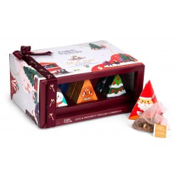 2657 Boîte cadeaux avec pyramide de thé bio
