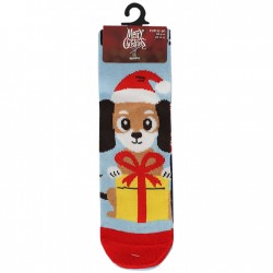 2686 Zwei Paar Kindersocken
