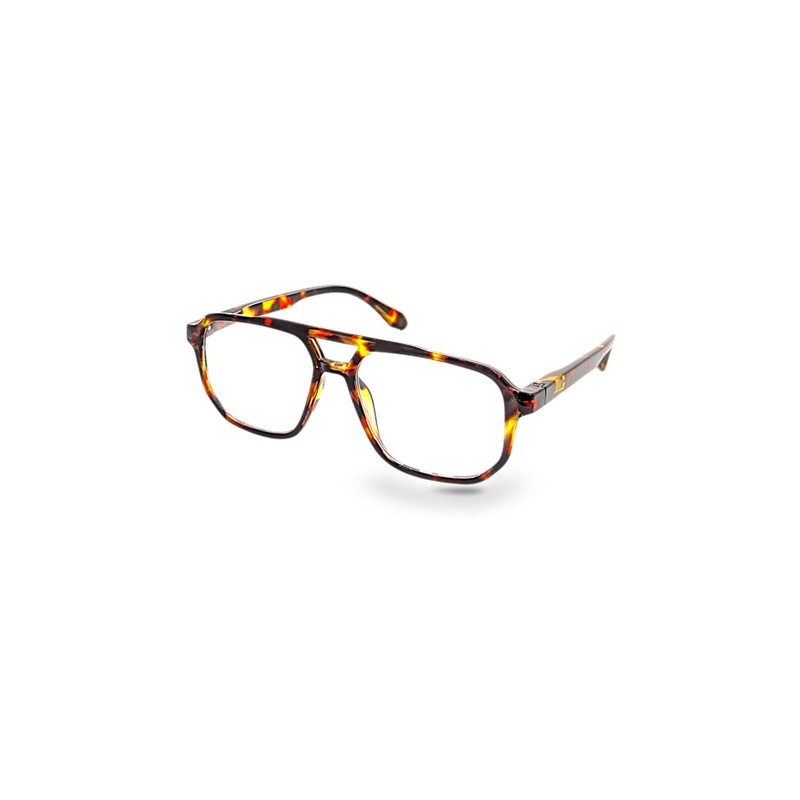 2770 2.5 Lunettes de lecture
